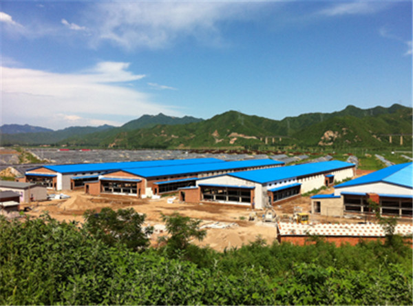 雞舍養(yǎng)殖建設(shè)流程？