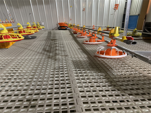 平養完工圖 (2).jpg