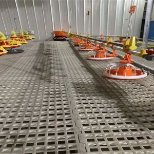 平養料線水線實際圖